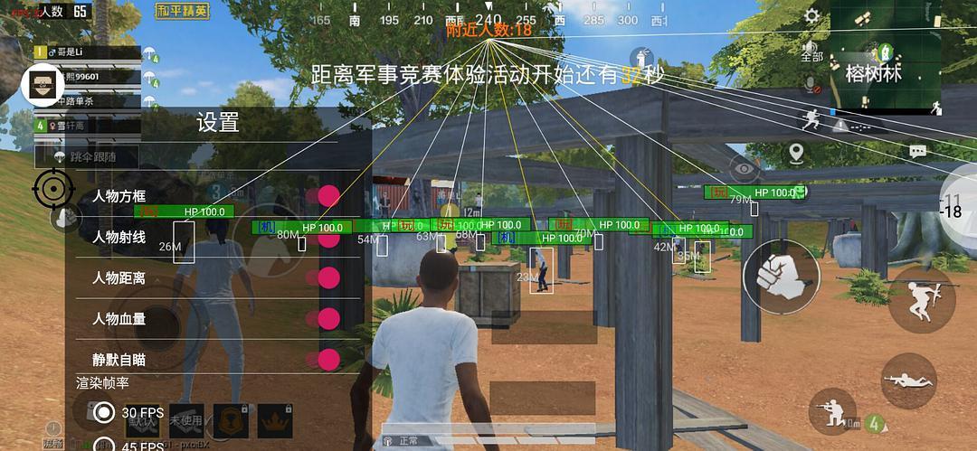 和平精英《敖光》辅助